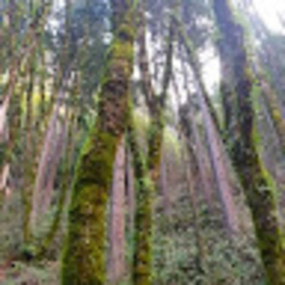 Meet your Posher, Elisa